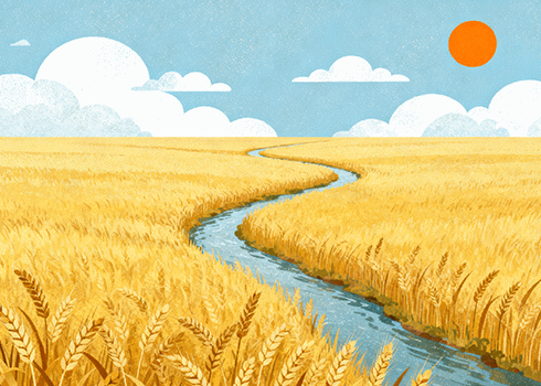 Nana主题的面包屑功能首页显示通告之方法